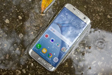 Mojé el celular como un boludo ¿Qué hago?